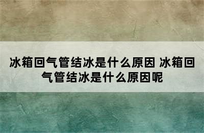 冰箱回气管结冰是什么原因 冰箱回气管结冰是什么原因呢